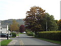 SD3598 : Early autumn colour in Hawkshead by Malc McDonald