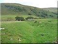 NY4316 : A previous course of Rampsgill Beck [possibly] by Christine Johnstone