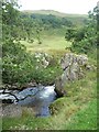 NY4316 : Rampsgill Beck, Martindale by Christine Johnstone