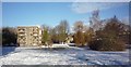 SE6250 : Snow covered lake by DS Pugh