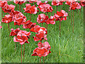 NZ2888 : "Weeping Window" (detail) (set of 2 images) by Oliver Dixon