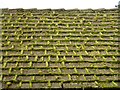 TF6828 : Moss on the roof - Sandringham Visitors Centre, Norfolk by Richard Humphrey