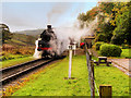 SD7920 : Steam Train at Irwell Vale by David Dixon