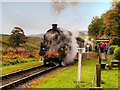 SD7920 : 80080 Leaving Irwell Vale by David Dixon