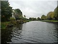 SE6131 : Selby Canal, looking south by Christine Johnstone