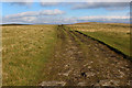 SD8485 : Pennine Way on West Cam Road by Chris Heaton