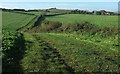 SY4394 : Footpath to Axen Farm by Derek Harper