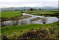 SO0392 : Islet in the River Severn near Caersws by Jaggery