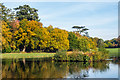 TQ0959 : The Lake, Painshill Park by Ian Capper