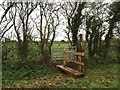 SJ7259 : Ditch bridge and kissing gate off Brook Lane by Jonathan Hutchins