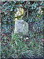 SJ5204 : Milestone at Pitchford Park by Richard Law