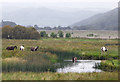 SN6761 : Cors Caron and the Afon Teifi  near Tregaron Ceredigion by Roger  D Kidd