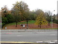 ST3089 : Late autumn colours on a bank above Malpas Road, Newport by Jaggery