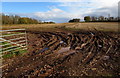 SJ7508 : Muddy field entrance north of Shifnal by Jaggery