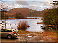 NY3307 : Grasmere Lake from Faeryland by David Dixon