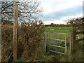 SJ7949 : Halmer End: footpath off Shraleybrook Road by Jonathan Hutchins