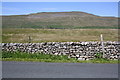 SD7578 : View of Ellerbeck Pasture from Low Sleights Road by Roger Templeman