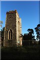 TG2504 : Ruin of St Wandregesilius church, Bixley by Inkedmik