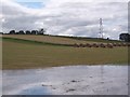  : Flooded ground, Nortfield by Richard Webb