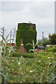 TM0932 : Vegetation clad tower by N Chadwick