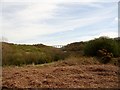 NZ0949 : View of Hownsgill viaduct Whinney Hill by Robert Graham