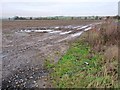 SE6264 : Waterlogged field, south-west of Foss House by Christine Johnstone