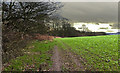  : The footpath by Beckett's Wood by Ian Greig