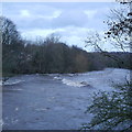 SE2336 : Extreme flood on the River Aire, from Newlay Bridge (1) by Rich Tea