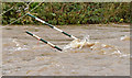 J3269 : Water sports obstacles near Shaw's Bridge, Belfast (December 2015) by Albert Bridge