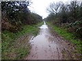 SK6457 : A very muddy Southwell Trail by Graham Hogg