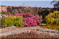 NU1341 : Walled garden, Lindisfarne Castle by Ian Capper