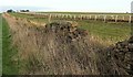 SE5083 : Gallops, Cold Kirby Moor by Derek Harper