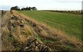 SE5183 : Gallops, Cold Kirby Moor by Derek Harper