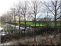 SJ3664 : Flooded drainage ditch in Saltney by John S Turner