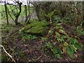 NS3878 : The edge of Renton Wood by Lairich Rig