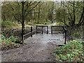 SJ5799 : Skitters Wood, Bridge over Millingford Brook by David Dixon