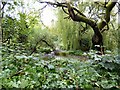 SJ8898 : Clayton Hall moat by Gerald England