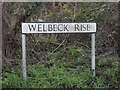 TL1512 : Welbeck Rise sign by Geographer