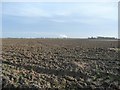 SE6023 : Harrowed field, north of Gowdall Road by Christine Johnstone