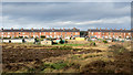 NZ1850 : Heathland beside Quaking Houses by Trevor Littlewood