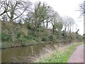 ST0013 : Grand Western Canal in a cutting near Halberton by David Smith