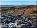 NS3779 : Dry-stone wall on slopes of Carman Hill by Lairich Rig