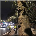 TQ3078 : London Plane in the evening rush hour, Millbank, London by Robin Stott