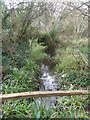 SZ7798 : Stream in West Wittering - view downstream by Rob Farrow