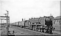 SU6352 : Poole - Sheffield express entering Basingstoke, 1965 by Ben Brooksbank