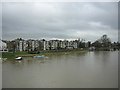 TQ1568 : Riverbank, from Hampton Court Bridge by Christopher Hilton