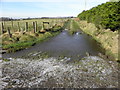 H5774 : Icy water, Mullaghslin Glebe by Kenneth  Allen