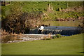 SK3721 : A weir at Staunton Harold, Derbyshire by Oliver Mills