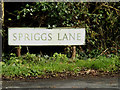 TL6003 : Spriggs Lane sign by Geographer