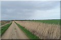 TF1721 : Willow Tree Fen - the track to the farm by Bob Harvey